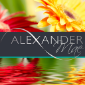 Alexander Mae