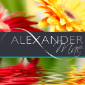 https://www.avonbusinessclub.co.uk/wp-content/uploads/2021/05/square-new-icon-small-alexandrea.png